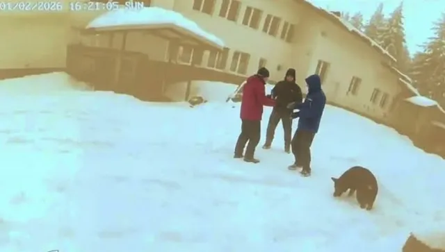 Пожарът в „Петрохан“ е запален от тримата мъже, чиито тела бяха намерени в хижата (видео)