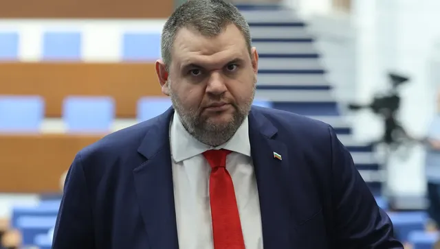 Сигналът за Пеевски влезе в дневния ред на Сметната палата