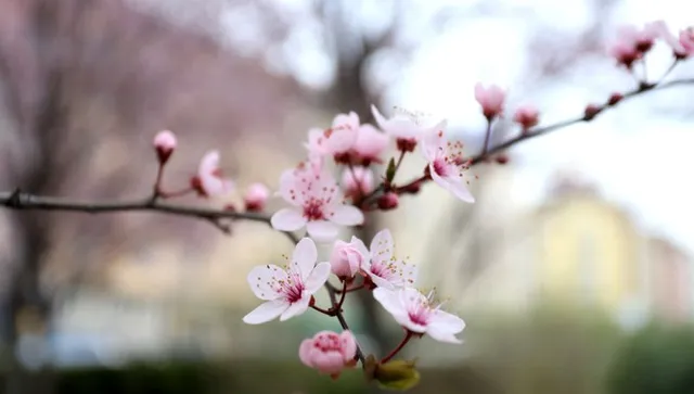 Дъждовни облаци, валежи с грамотевици се придвижват от запад на изток