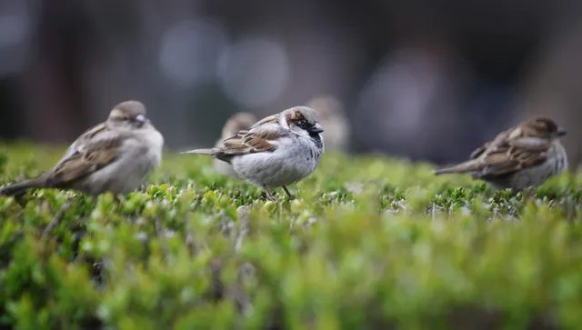 Облачно с дъждове на много места, но градусите се вдигат