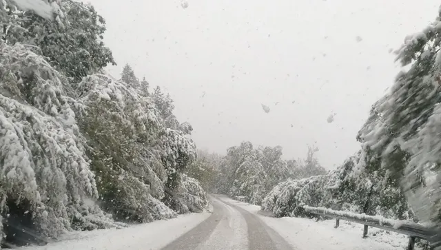 Предупреждение за опасно време, хлъзгави пътища и поледици 