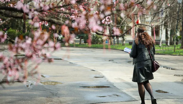 Сенната хрема - кои алергени ни разболяват и как да се предпазим от тях