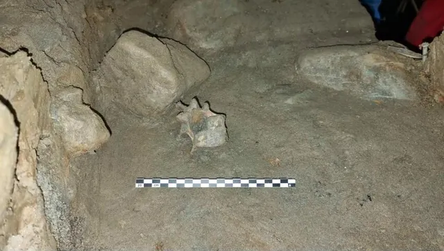 В 75 000-годишна пещера са открити 46 вида, които никога не са се срещали на едно място