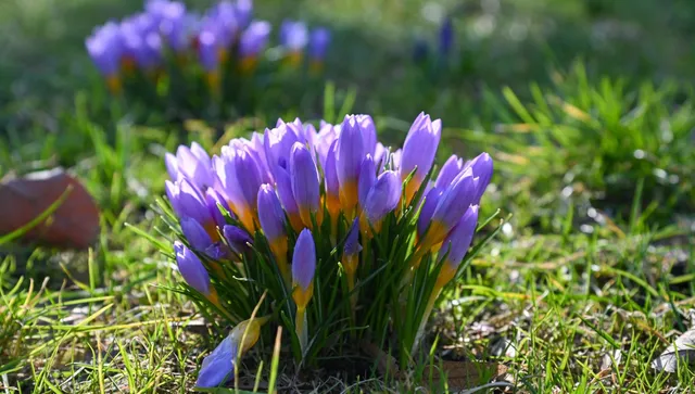 Облачно, слънцето ще пробива по малко на запад, неподходящ ден за туризъм