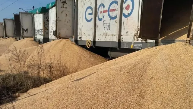 Молдова спасява Украйна: Обеща да превози 600 000 т. селскостопанска продукция 