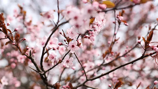 Слънчево и топло, с умерен вятър