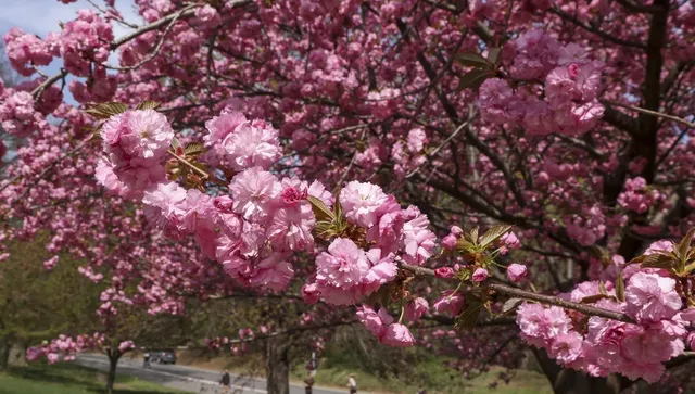 Облаци и слънце се редуват, дъждовете на югозапад постепенно спират