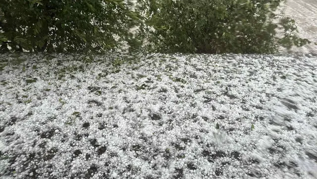 От Агенцията за борба с градушките излязоха на протест срещу ниските заплати 