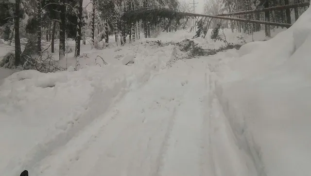 ЕРМ Запад поетапно възстановява захранването, но паднали дървета и силен вятър предизвикват нови аварии