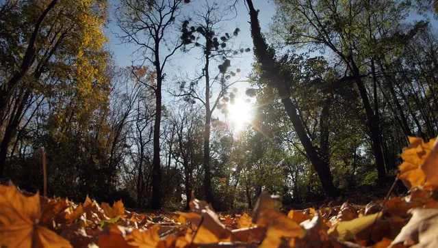 Сутринта мъгли, следобед - слънце и температури до 13 градуса