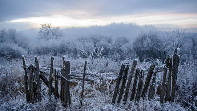 Същинска зима завладя страната: Градусите паднаха до -22,5° 