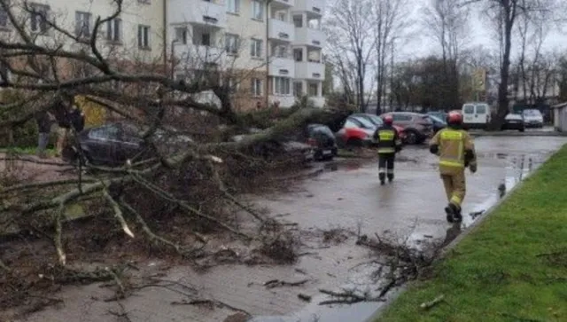 Силни ветрове и спрян ток в Полша нажежиха линиите за спешни повиквания 