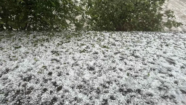 Петминутна градушка порази реколтата на сливенско село