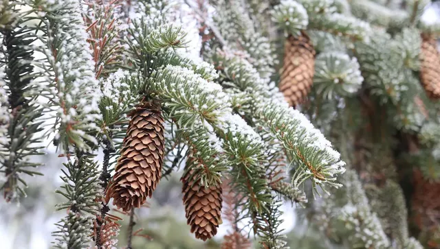 Температурите падат, снеговалежи на северозапад и в планините