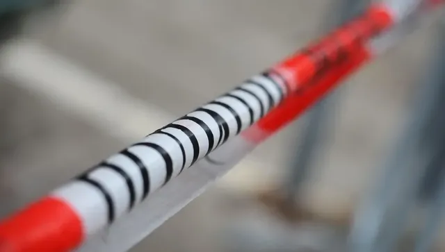 Кои са балканските канали за кокаин от Венецуела?