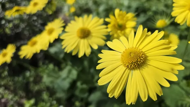 Ветровито, слънцето се прокрадва иззад облаци, а времето е топло