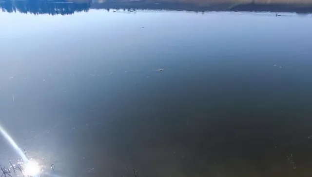 Мистериозна тръба бълва отрова, изби рибата в язовир "Дибич"