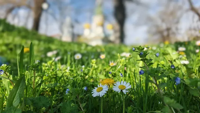 В съботния ден ще има много слънце с умерен вятър, температурите скачат до 35 градуса