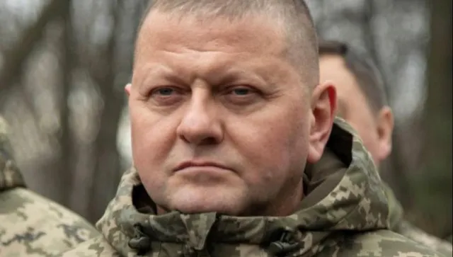 Залужни към европейските лидери: Не приемайте, че Русия е загубила войната