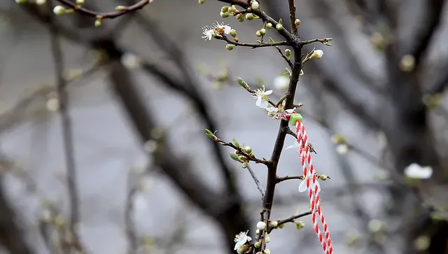 Валежи из цяла България, значителни порои от дъжд на юг