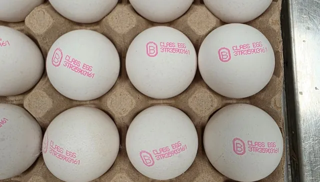Агенцията по безопасност на храните върна 82 тона яйца в Турция 