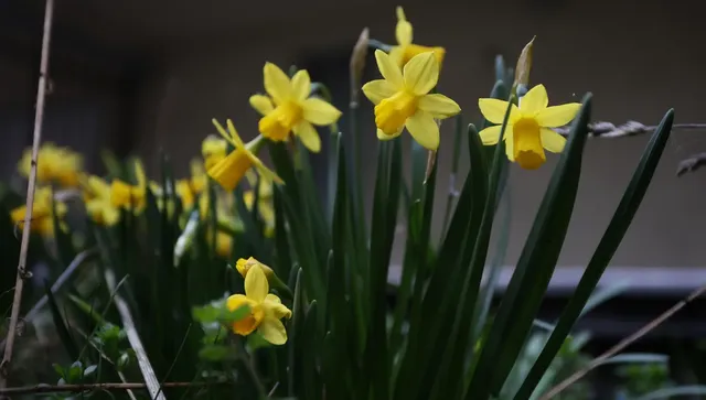 Облаци покриват небето, хладен вятър и дъждове, придружени от гръмотевици на юг
