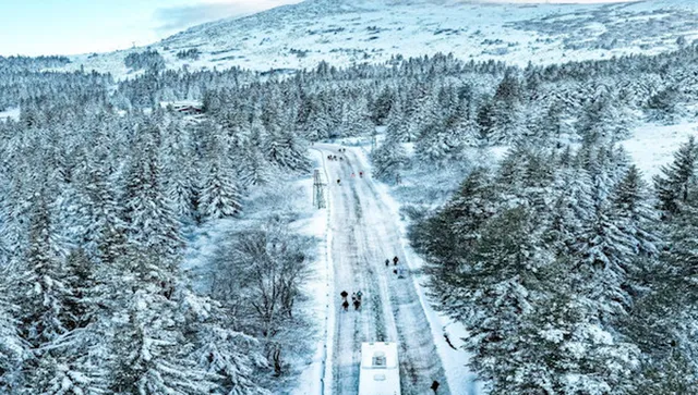 Обилен сняг: Затварят пътищата към Витоша тази събота и неделя