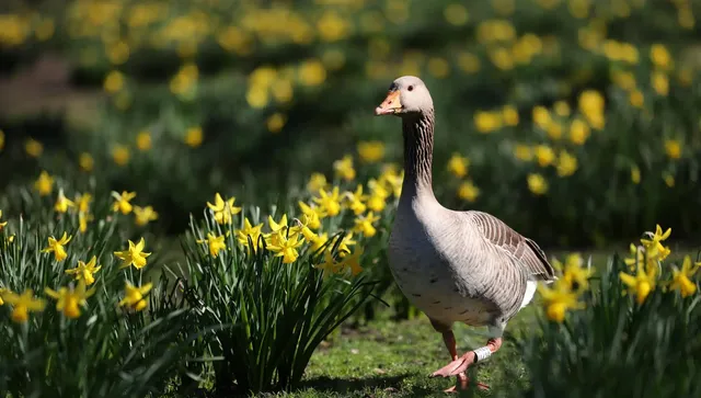 Слънчево и почти без облаци, необичайно топло време за февруари 