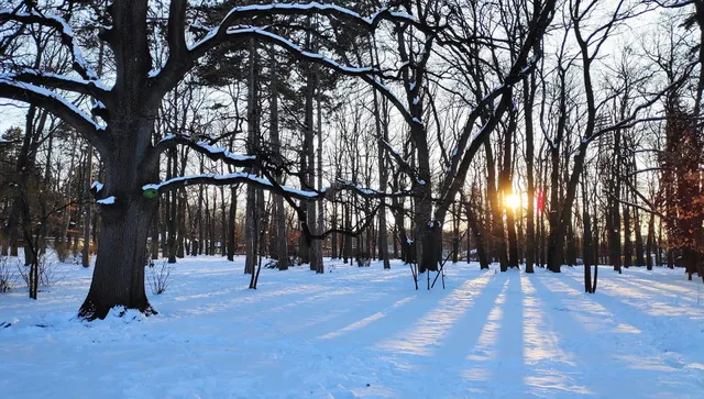 Седмицата започва със слънце и температури на места до 17 градуса