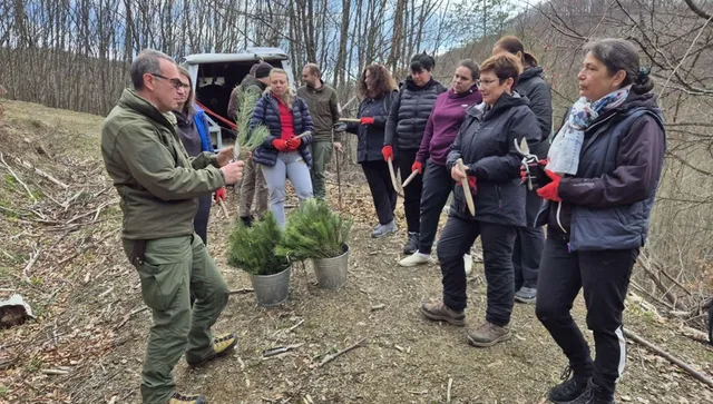Община Тетевен с инициатива - засажда фиданки по случай Седмицата на гората
