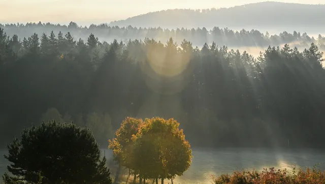 В понеделник, 8 декември, в по-голямата част от страната ще се задържи предимно облачно