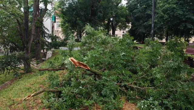 16 пожара избухнаха от ураганния вятър, разразил се в Благоевградско