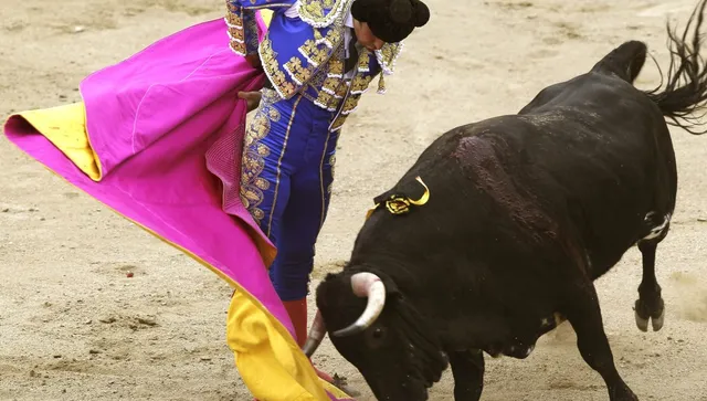 ООН настоя Испания да спре участието на деца в борбите с бикове