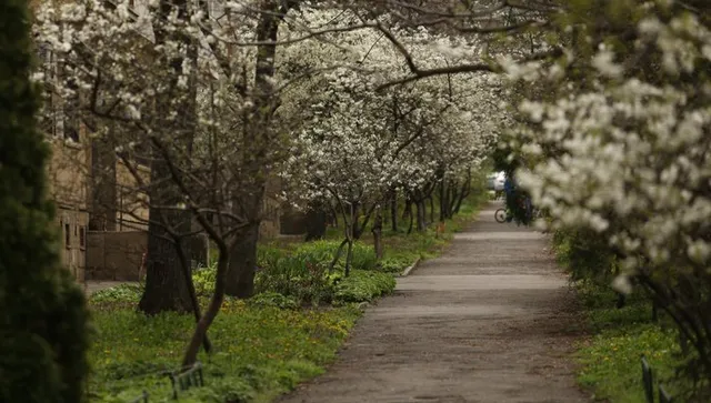 Времето се обръща - студен вятър, на места дъжд, гръмотевици и градушки  