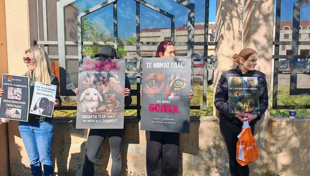 Граждани протестират пред Софийския градски съд: Тече делото за мъчение на животни
